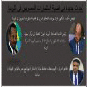 السقطي: تحويل قضية استثمارات المصريين في أثيوبيا لمركز تسوية المنازعات بواشنطن